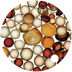 demineralizacijos terpė